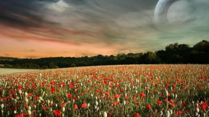 华为自研的仓颉编程语言将于 7 月 30 日开源，这款语言将如何影响未来的开发趋势？